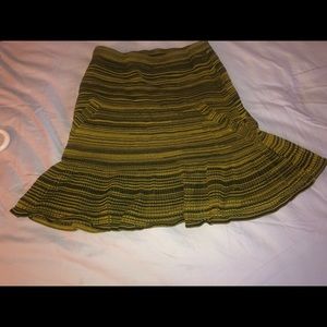 Rachel Ray Skirt